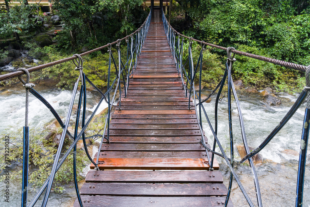 The wood bridge in the jungle and rivers