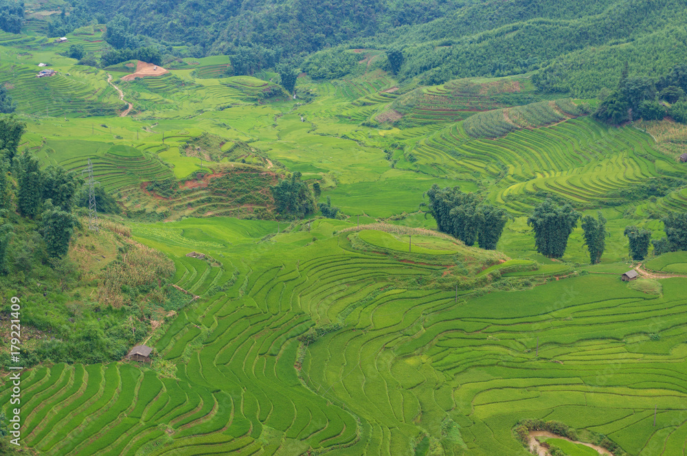 Aerial view of spectacular rice terraces