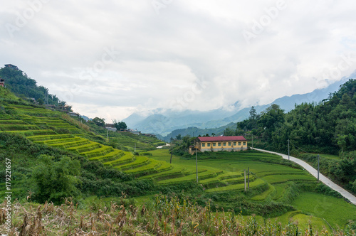 Vietnamese countryside landscape with rice paddy