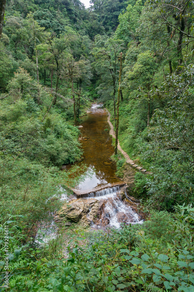 River in the forest. View from above, nature background River in the forest. View from above, nature background