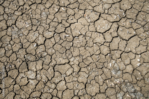 Crack soil on dry season.