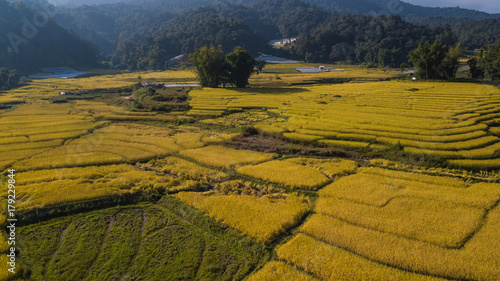 Aerial top view photo from flying drone of the Buddhist temple and fields in  the countryside of Chiang Mai  Northern Thailand