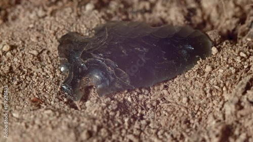 Close up of native American obsidian arrowhead Paiute Indian stone tool in dirt from Oregon great basin desert