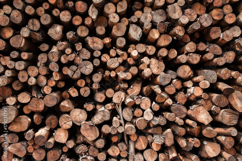 Natural wooden background - closeup of chopped firewood.