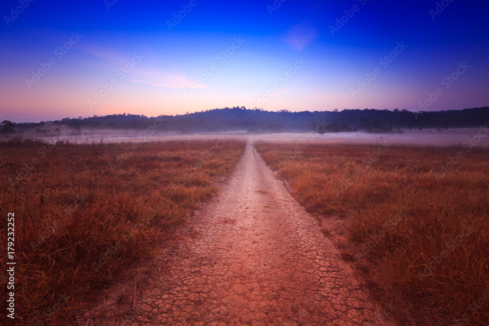 Soil path with field in the morning at  Thung Kamang nature park, Chaiyaphum, Thailand