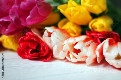 bouquet of tulips