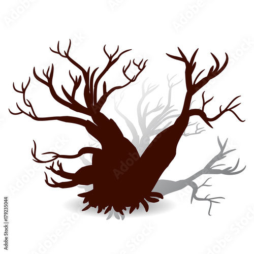 Silhouette of a tree without leaves (brown) on white background, © Vladimir