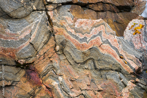 Принти на полотні Colorful veins in a gneissic rock