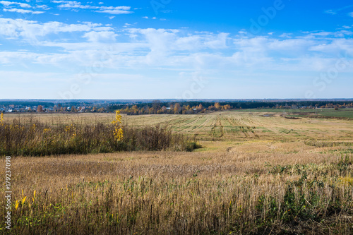 Yellow field and blue sky with louds