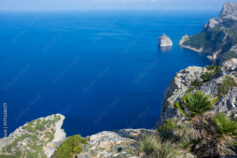 Mallorca, Spanien, Insel, Urlaub, Erholung, Tiere, Pflanzen, Palmen, Reisen, Markt, Früchte, Stand, Meer
