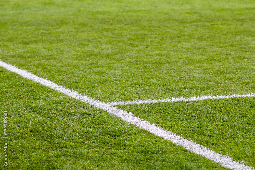 Football field fragment