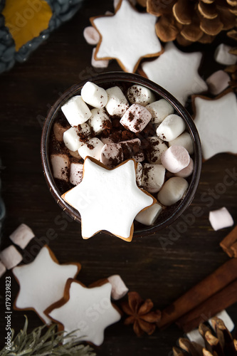 A cup of hot chocolate with gingerbread. The taste of winter. Dark background.