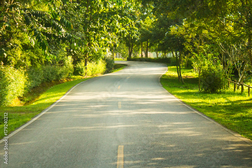 The road the morning