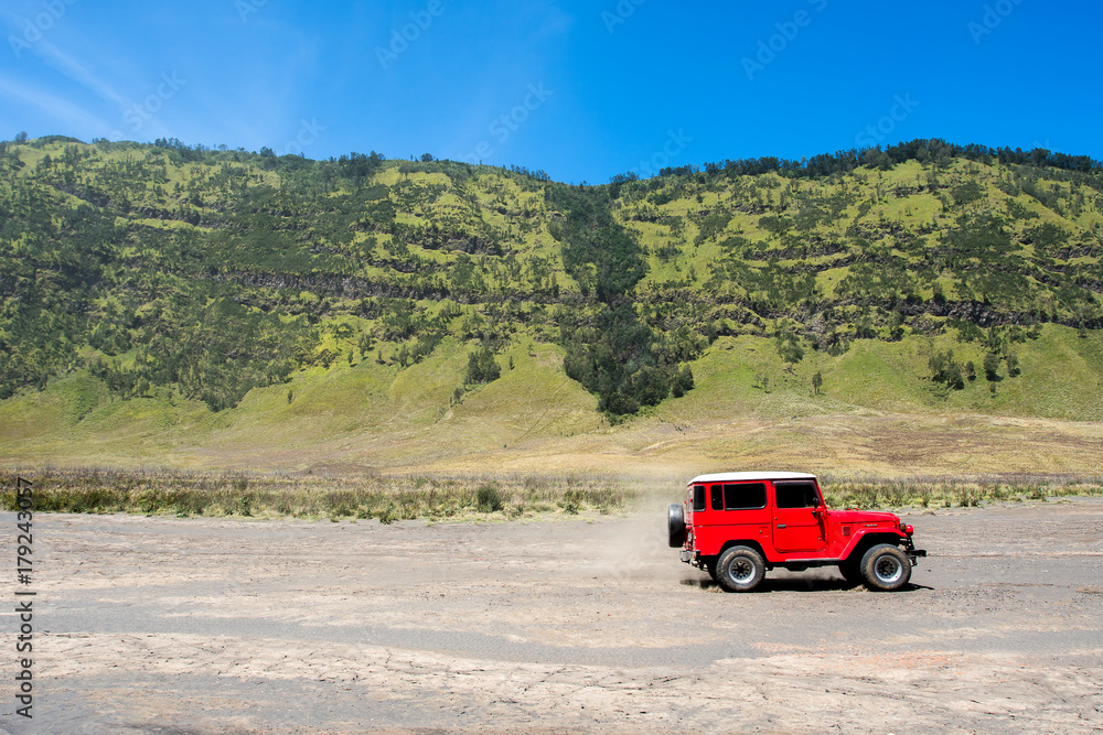 Savana Field, Bromo Tengger National Park, East Java, Indonesia Savana Field, Bromo Tengger National Park, East Java, Indonesia