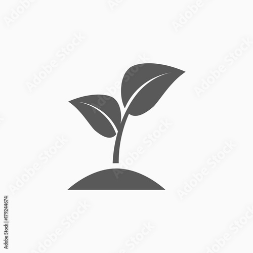 sprout icon