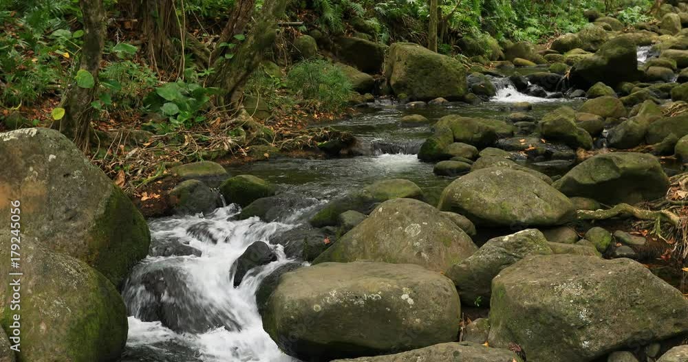 Beautiful rain forest mountain stream river Kauai Hawaii. Tropical river and waterfalls. Kauai is the oldest Hawaiian Island. Garden Isle. Volcanic mountain geology. Jungle, rain forest. Beautiful rain forest mountain stream river Kauai Hawaii. Tropical river and waterfalls. Kauai is the oldest Hawaiian Island. Garden Isle. Volcanic mountain geology. Jungle, rain forest.