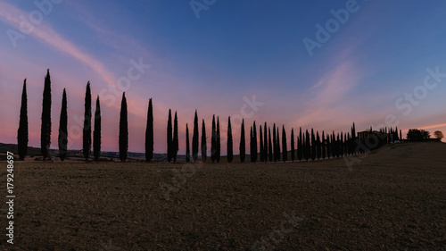 Cypress alley in Tuscany, evening in Tuscany. Tuscany Landscape in autumn, Cypress alley in Tuscany, colorful sunset in Tuscany. Alley in the colorful sky.