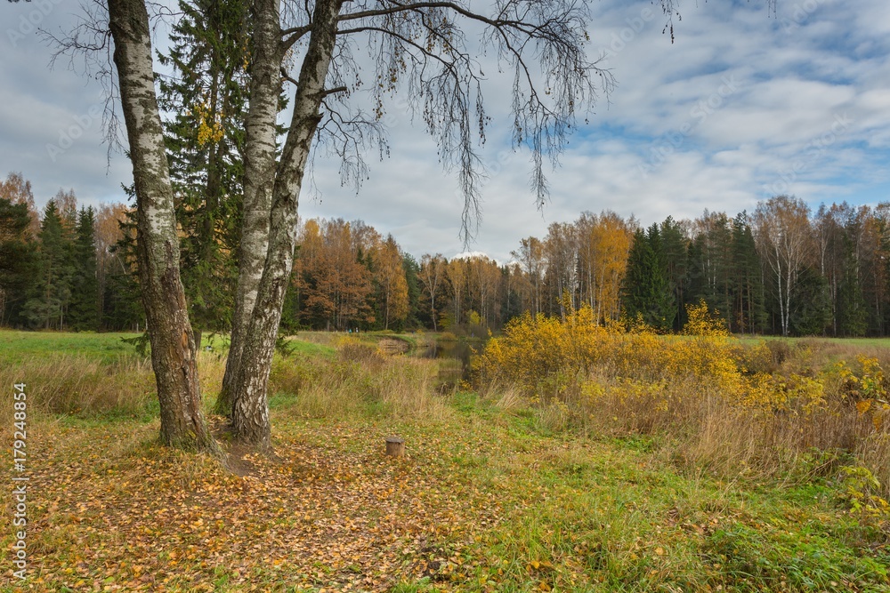 Fototapeta premium Bright autumn landscape 