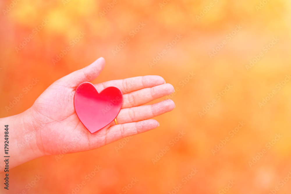Red heart in the woman hand