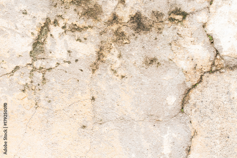 Obraz premium white concrete wall texture