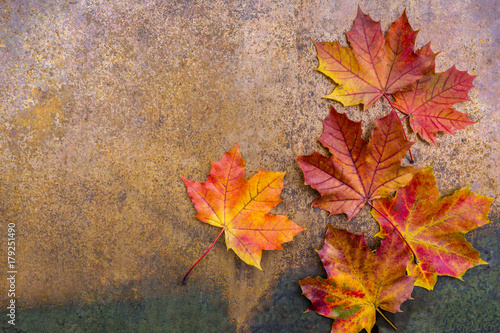 Autumn leaves on a vintage background with space for text.