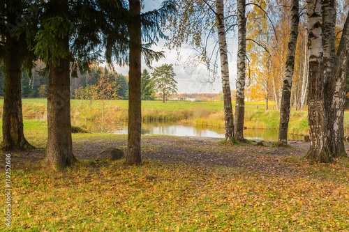 Fototapeta Naklejka Na Ścianę i Meble -  Bright autumn landscape 