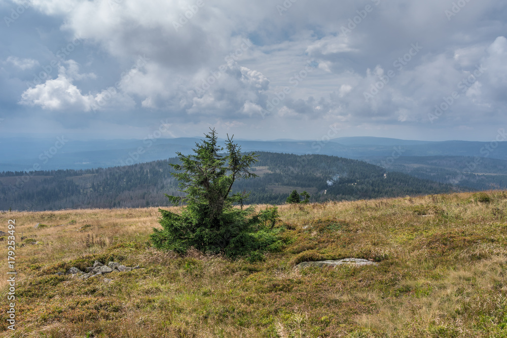 The landscape of mountain in Harz, Germany The landscape of mountain in Harz, Germany