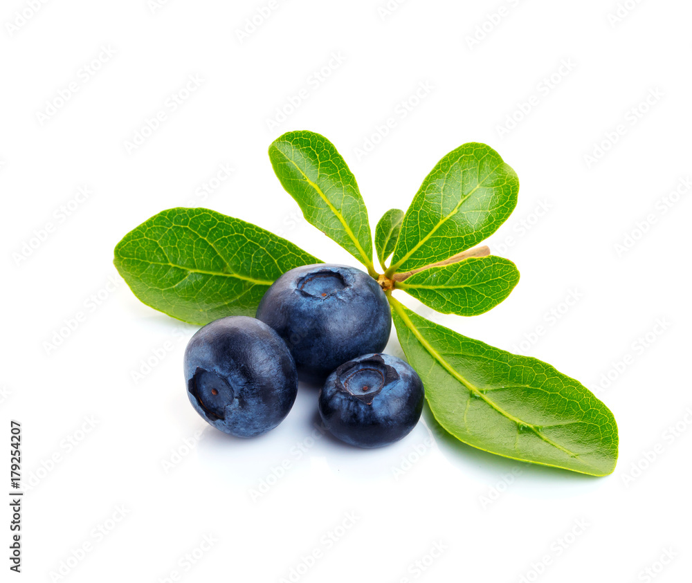 Blueberry. Two fresh blueberries with leaves isolated on white background. With clipping path. Blueberry. Two fresh blueberries with leaves isolated on white background. With clipping path.