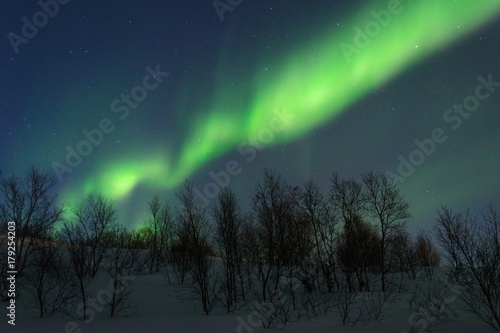 The Northern lights  Aurora the night over the hills and forest.