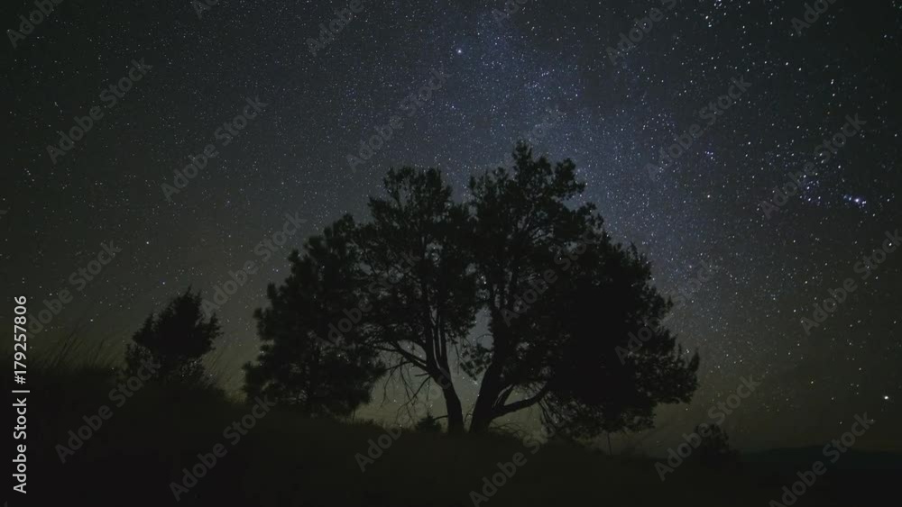 Night to day lone western juniper with milky way dark sky stars at night in desert until dawn Night to day lone western juniper with milky way dark sky stars at night in desert until dawn