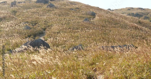 Sunset Peak in lantau island photo