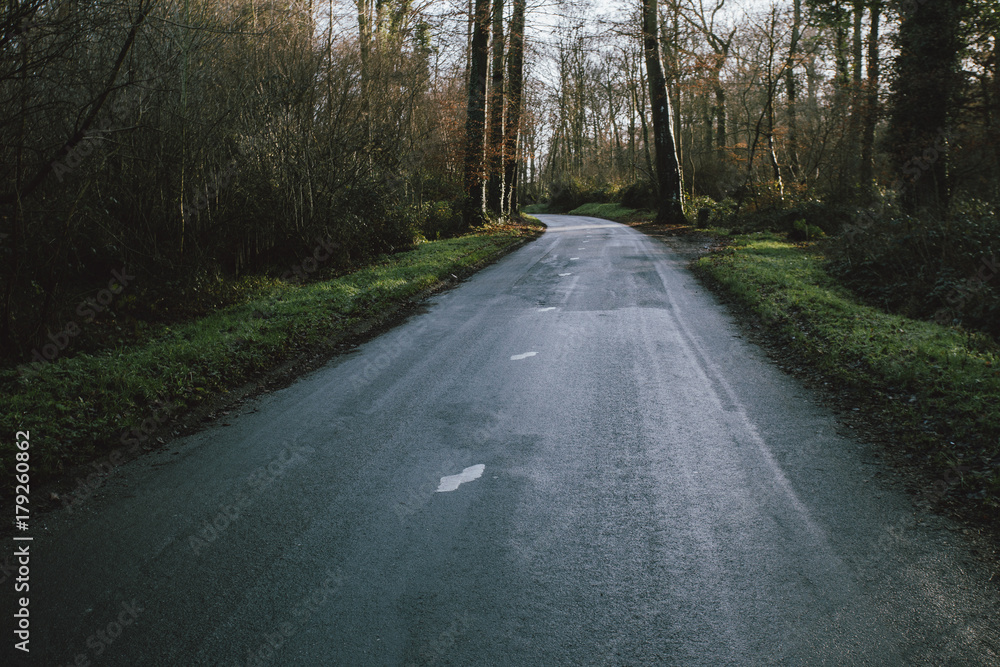 Obraz premium Asphalt empty road passing through the forest in the region of Normandy, France. Landscape in autumn day. Toned