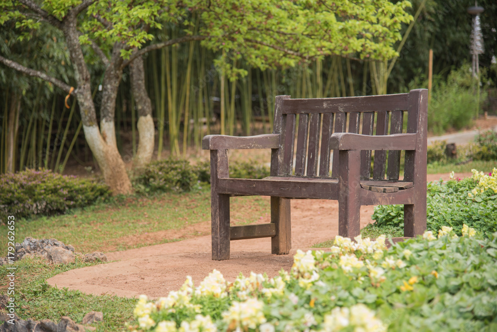 Chair in the garden at doi ang khang chiang mai thailand