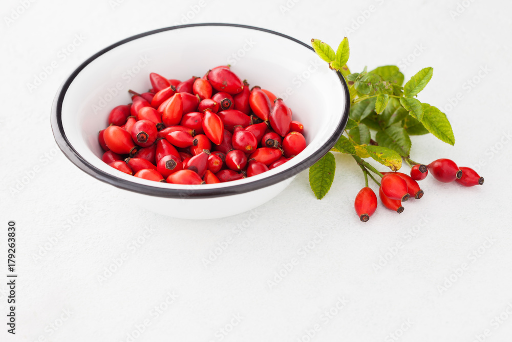 rose hip rose hip