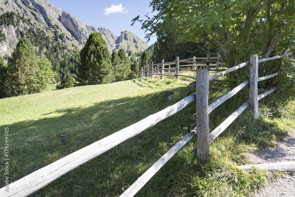 Almwiese im Naturpark Puez-Geisler in Südtirol
