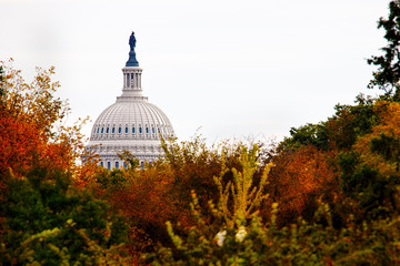 Capitol 2