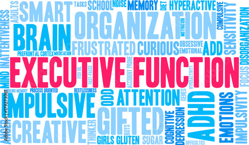 Executive Function ADHD Word Cloud on a white background. 