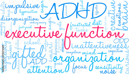 Executive Function Word Cloud on a white background. 