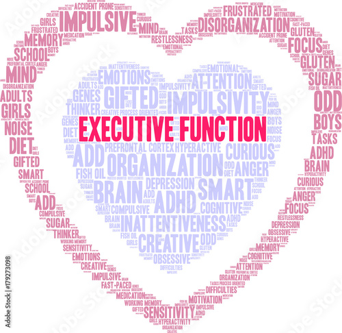 Executive Function ADHD Word Cloud on a white background. 