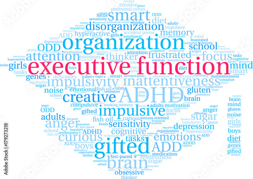Executive Function ADHD Word Cloud on a white background. 