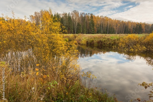 Bright autumn water landscape 