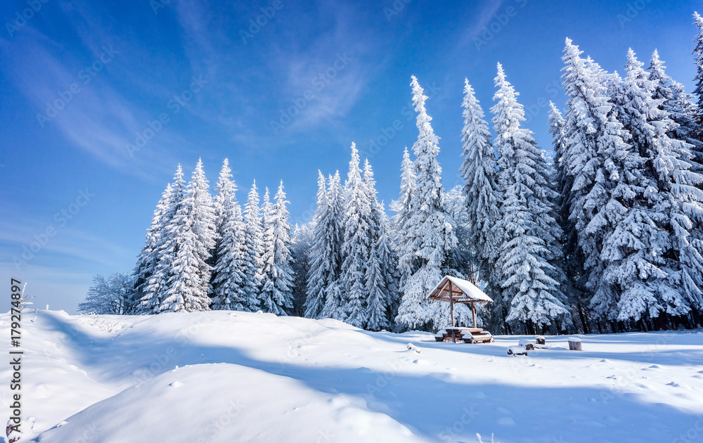 Naklejka premium Beautiful winter morning after heavy snowfall in the mountain forest.