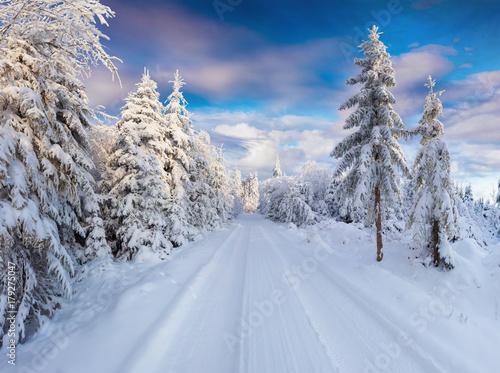 Sunny winter morning in Carpathian mountains with snowy country road. © Andrew Mayovskyy