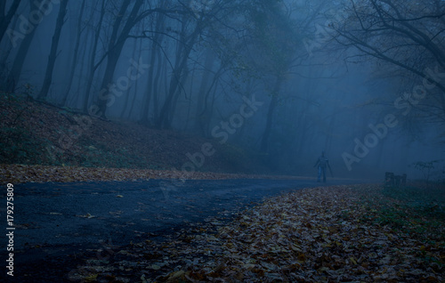 Path through a dark forest at night