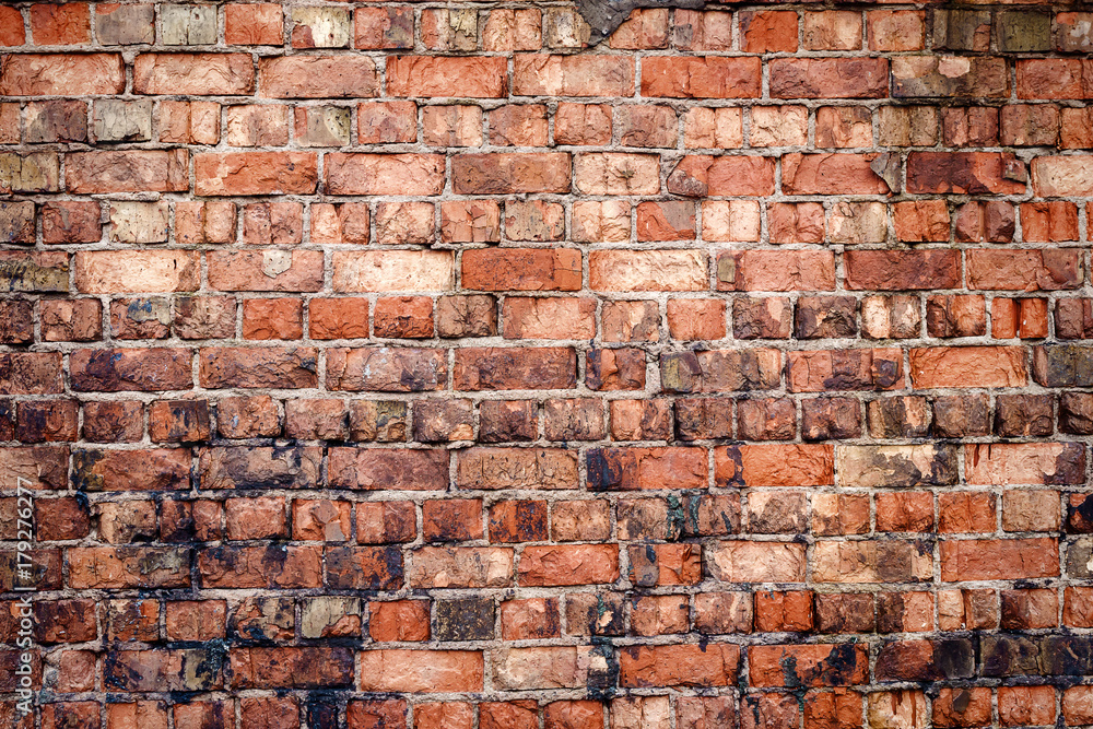 Naklejka premium Old brick wall