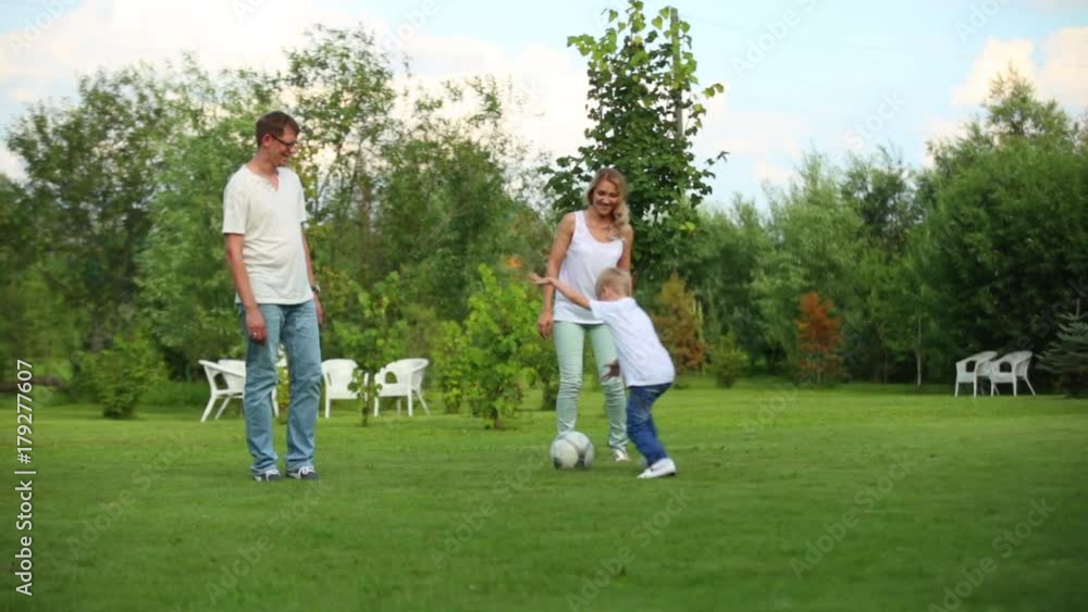 the family plays ball on the green lawn the family plays ball on the green lawn