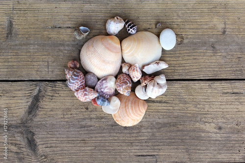 romantic decoration of seashells in heart form on the wooden planks background