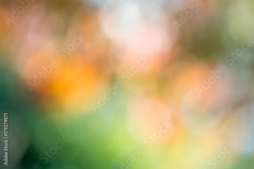 Autumn background blur of color from leaves