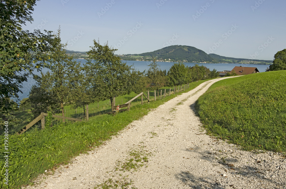 Alpine landscape - mountain range by the lake and the  farmland with a dirt road through a fertile green field