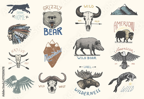 set of engraved vintage, hand drawn, old, labels or badges for camping, hiking, hunting with boar, bear and wolf, red fox . skull and bald eagle, moose face, indian or native american. buffalo